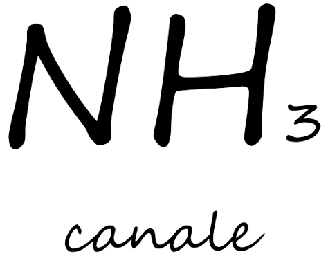 NH3 in condotto