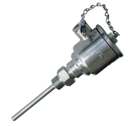 Sonda Pt100 attacco 1/2" Gas Maschio con testa di raccordo inox 316 L cod. IOSI