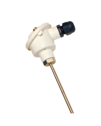 Sonda Pt100 liscia BLC