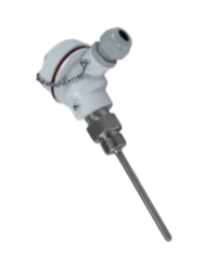 Sonda Pt100 attacco 1/2" GM testa di connessione IP68 e uscita attiva cod. MDANGOSI